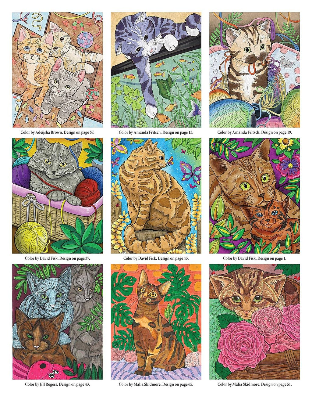 Cats & Kittens Coloring Book - Color and Learn about Cats
