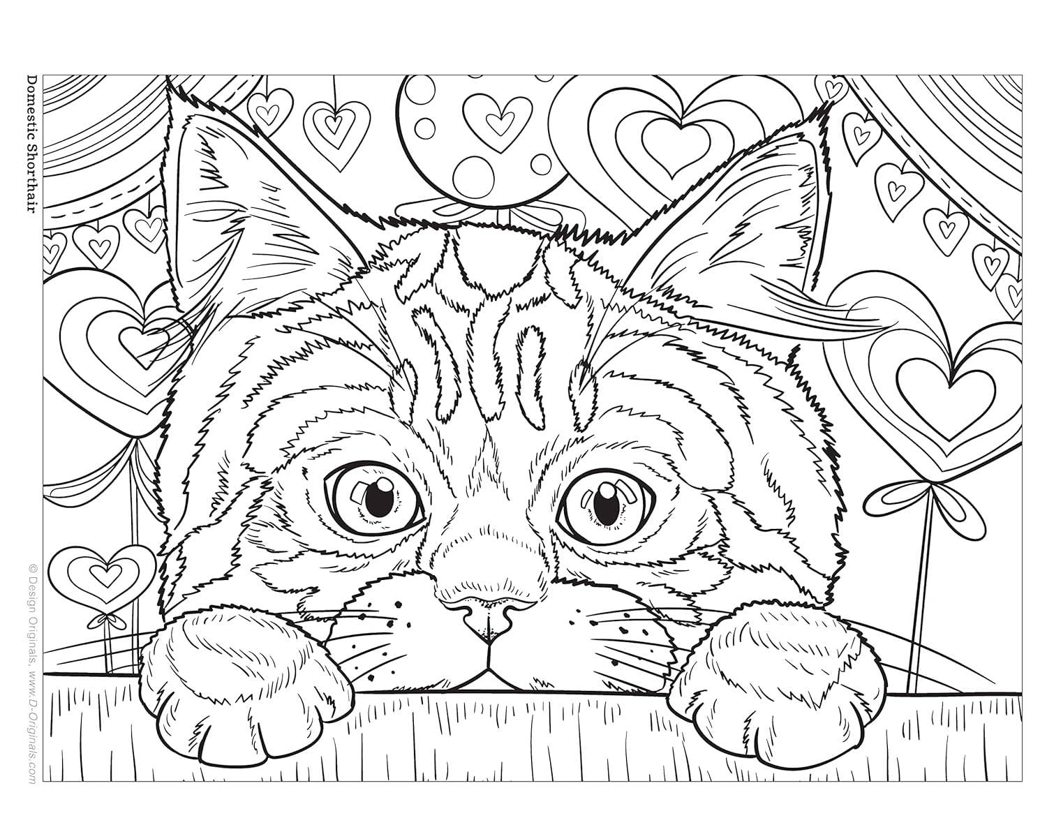 Cats & Kittens Coloring Book - Color and Learn about Cats