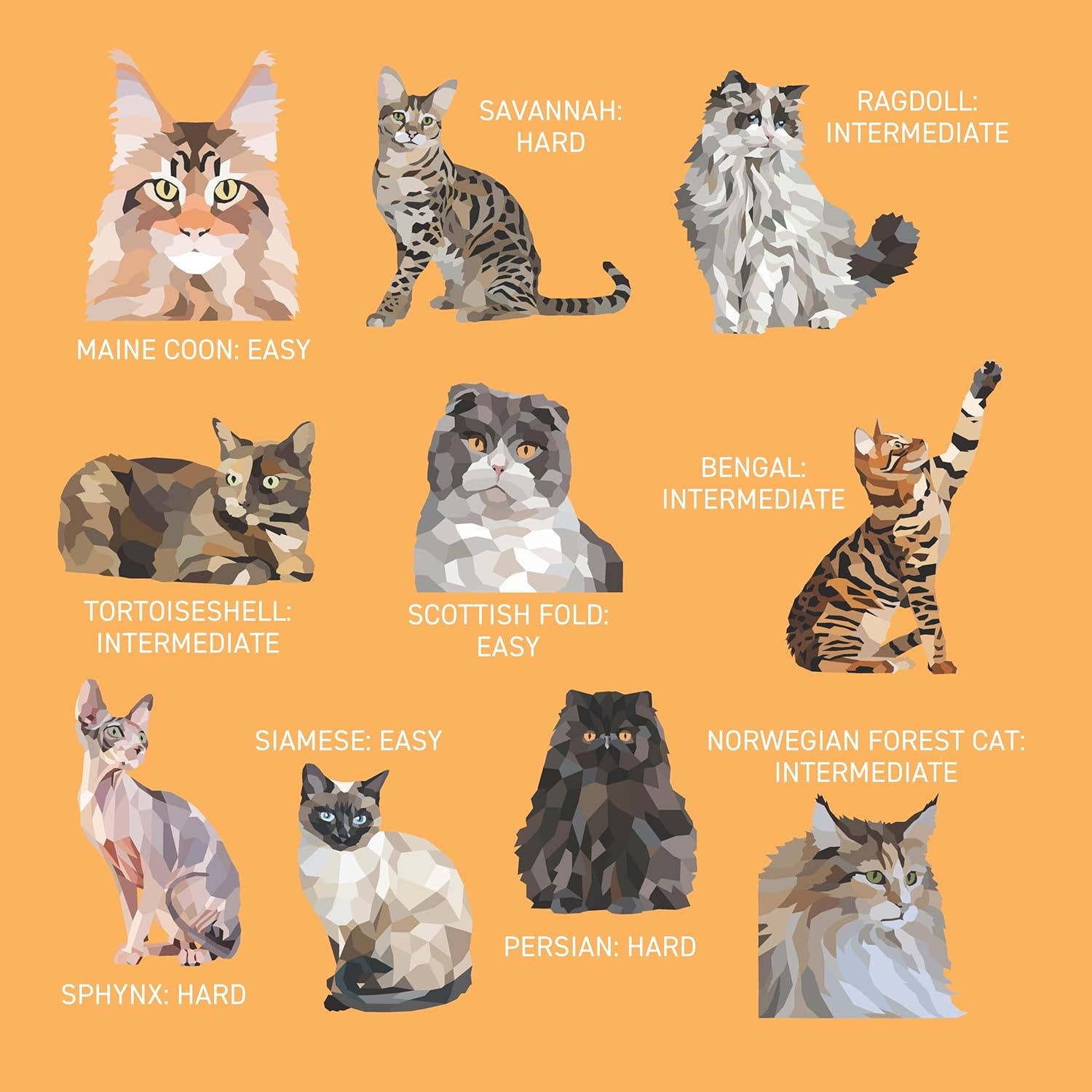 My Sticker Paintings: Cats - 10 Amazing Felines